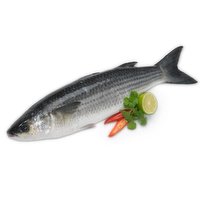 Frozen - Grey Mullet, 1 Pound