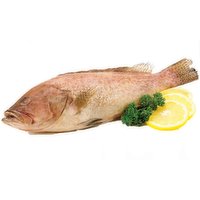 Frozen - Brown Grouper, 1 Pound