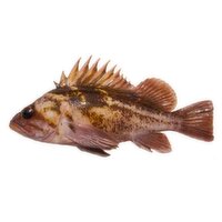 Fresh - Mix Rockfish, 1200 Gram