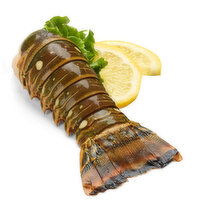 Save-On-Foods - Caribbean Spiny Lobster Tail, Frozen, 1 Each