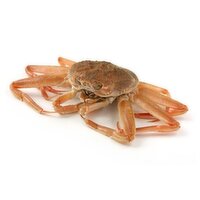 Snow Crab - Ocean Wise, Live, 1 Kilogram