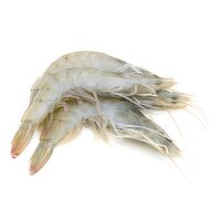 Live - Wild West Coast Live King Shrimps, 500 Gram