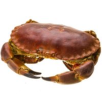 N/A - Live English Brown Crab, 1 Pound