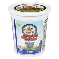 Jerseyland Organics - Yogurt - Blueberry, 750 Gram