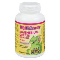 Natural Factors - NATFAC Big Friends Magnesium Citrate, 60 Each