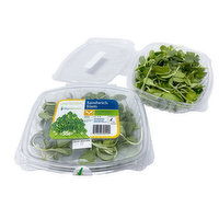 Sky Harvest - Sprouts Sunflower Organic, 95 Gram