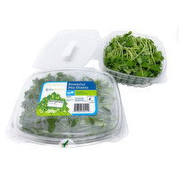 Sky Harvest - Sprouts Pea Shoots Organic, 90 Gram