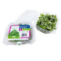 Sky Harvest - Microgreens Radical Radish Organic, 50 Gram