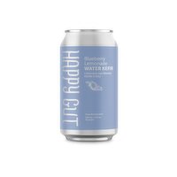 Happy Gut - Blueberry Lemonade Water Kefir, 355 mL, 1 Each