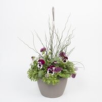 Potted Plants - Early Season Basket 10 In, 1 Each