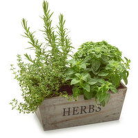 Vintage - Herb Planter in Wood Vintage Box, 1 Each