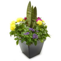 Tall - Euro Premium Mixed Patio Planter, 12 Each