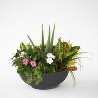 Planter - Premium Mixed Hobnail Bowl