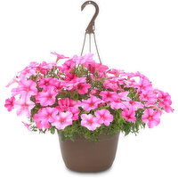 Petunia - Floral Solid Basket 11 Inch, 1 Each