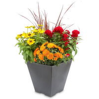 Potted Plant - Autumn Square Planter, 14 inch, 1 Each
