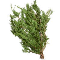 Red Cedar - Boughs, 1 Each