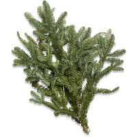 Noble Fir - Boughs, 1 Each