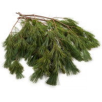 Christmas Boughs - Princess Pine, Fresh, 1 Each