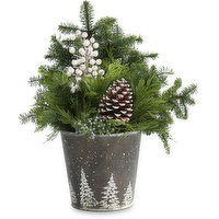 Greenery Planter - Seasonal 9 Inch, Assorted, 1 Each