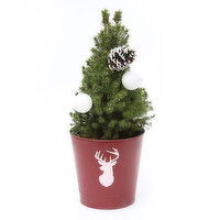 Christmas Tree - Decorated Alberta Spruce in a Metal Pot, 1 Each