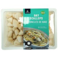 Clear Ocean - Bay Scallops, 340 Gram