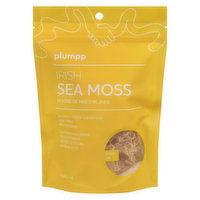 Plumpp - Irish Sea Moss Gold, 40 Gram