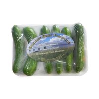 Golden Eden Produce - Mini Cucumbers, 6 Pack, 1 Each