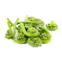 West Coast Wild - Fresh Fiddlehead, 170 Gram