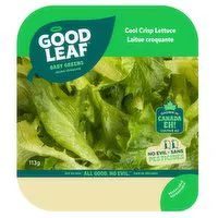 GoodLeaf Farms - Cool Crisp Lettuce