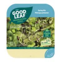 GoodLeaf Farms - Spring Mix, 113 Gram