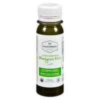 Pulp & Press - Wellness Shot Wheatgrass Organic, 70 Millilitre