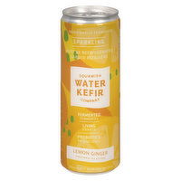 Squamish Water Kefir - Water Kefir Beverage - Lemon Ginger, 355 Millilitre