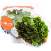 Inspired Greens - Living Lettuce, Red Batavia, 1 Each