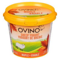 Ovino - 2% M.F. Sheep Yogurt Maple, 500 Gram