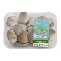 Sunrise Mushrooms - Organic Oyster Mushrooms, Fresh, 227 Gram