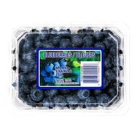 BC - Blueberries, 1 Pound