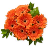 Gerbera - Bouquet With Salal or Myrtle, 1 Each