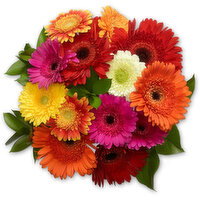 Gerbera Combo - Bouquet  Mixed Greens, 1 Each