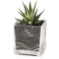 Horty Girl - Tropical Succulent in Square Glass w/ Sand Art, 1 Each