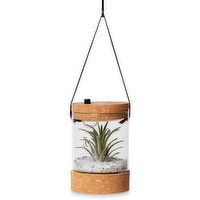 Horty Girl - Hanging Airplant with Light, 5in, 1 Each