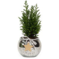 Horty Girl - Silver Small Glass w/ Tree 4.5In, 1 Each