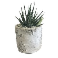 Horty Girl - Bark Design Planter, 1 Each