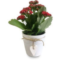 Horty Girl - Ceramic Heart With Tropicals, 1 Each