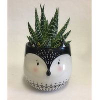 Horty Girl - Ceramic Animal Pot with Succulent, 1 Each