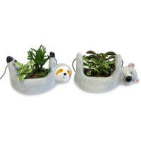 Horty Girl - Ceramic Sloth/Koala Plant 5In Assorted, 1 Each