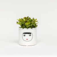 Horty Girl - Ceramic Face pot w/ Astd Plants 5In, 1 Each