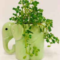 Horty Girl - Ceramic Elephant with Plant 2.5In, 1 Each