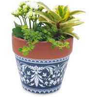 Horty Girl - Terra Cotta Pot with Succulent 5 Inch, 1 Each