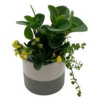 Horty Girl - Two tone Grey Ceramic w/ plant Garden 4.75Inch, 1 Each