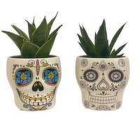 Horty Girl - Horty Girl Sugar Skull W/ Plant 5In, 1 Each